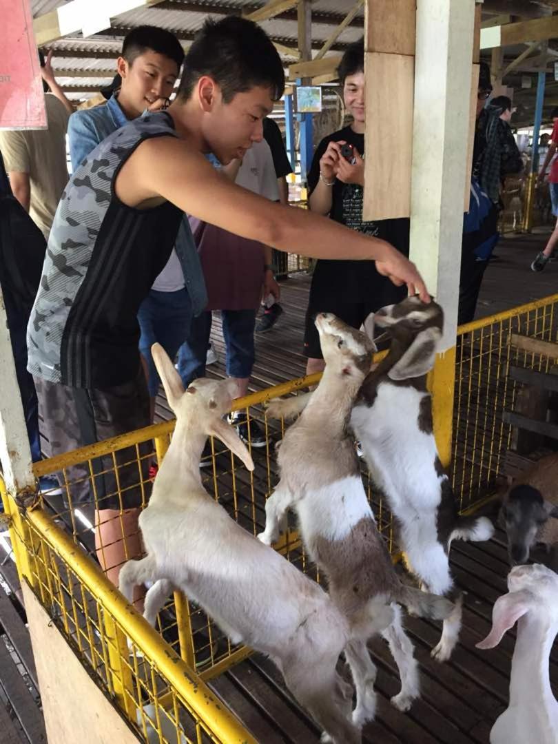 Uk Farm Agro Resort Keluang Ngoại thất bức ảnh